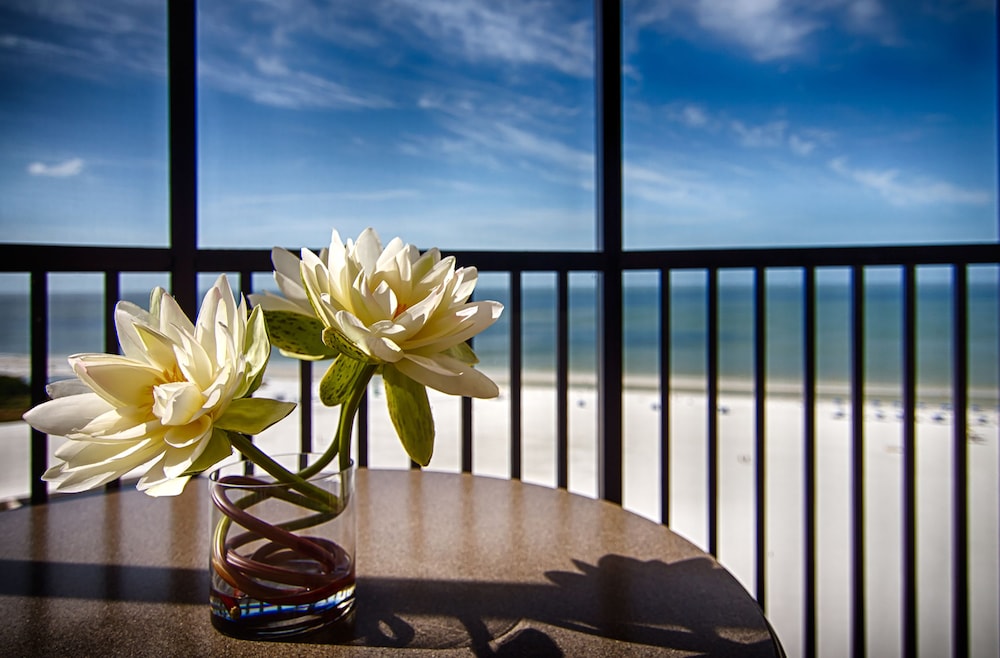 Pointe Estero Resort 31/50