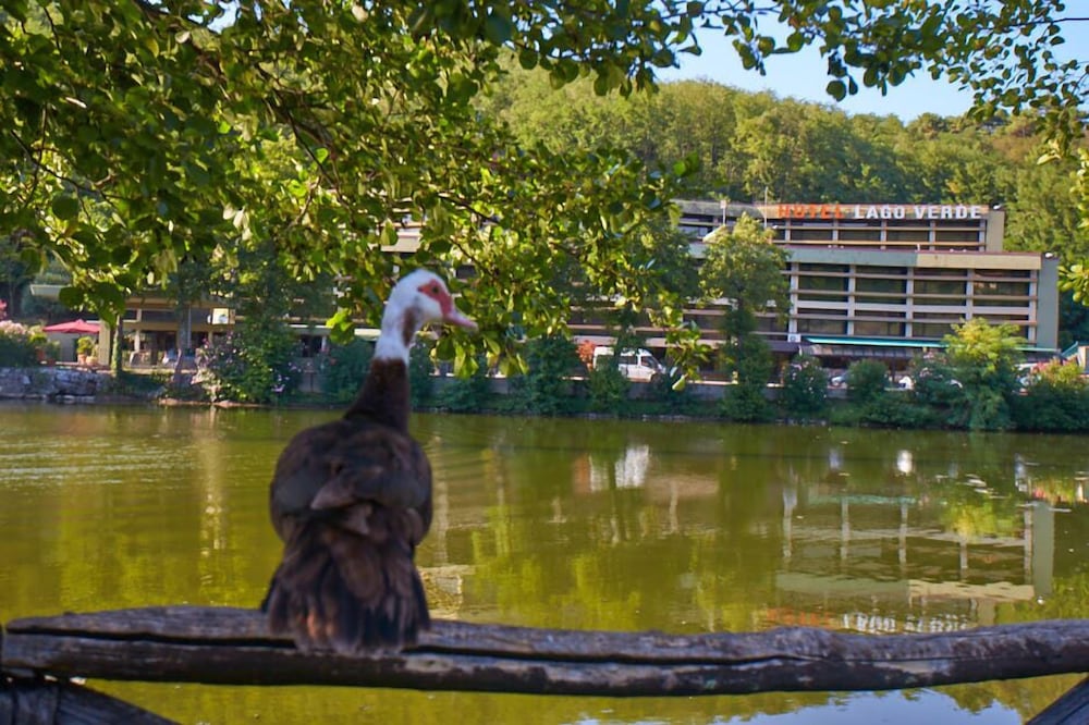 Hotel Lago Verde 10/45
