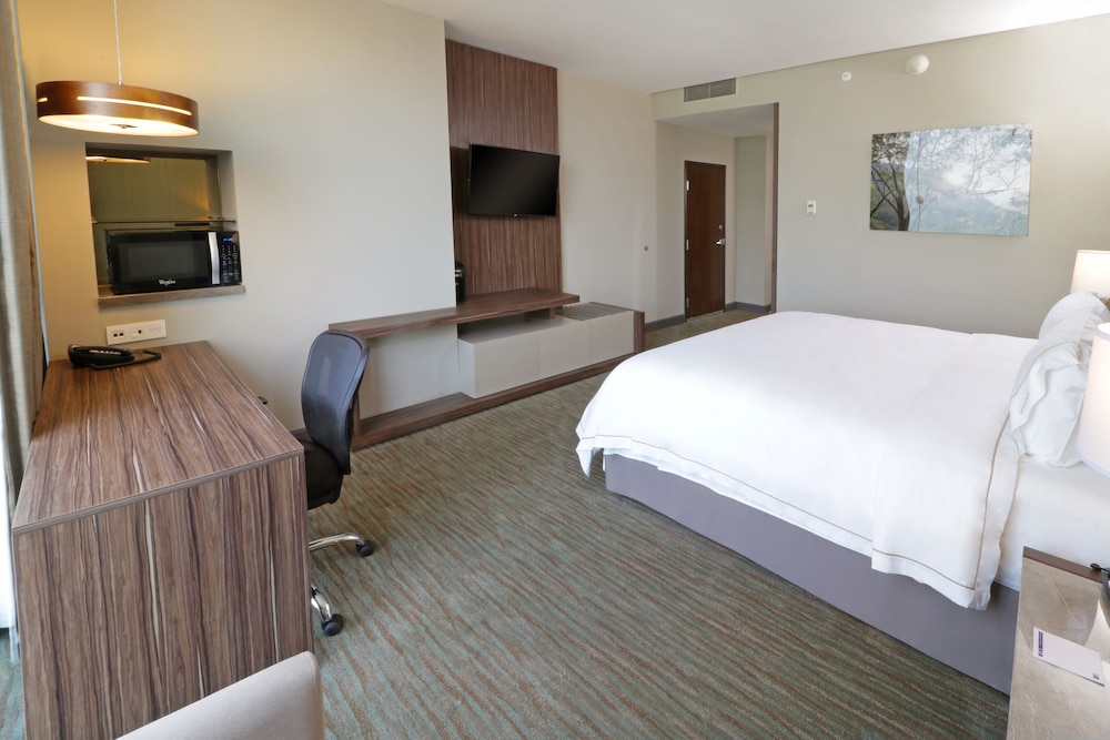 Holiday Inn Express Suites Monterrey Valle 16/74