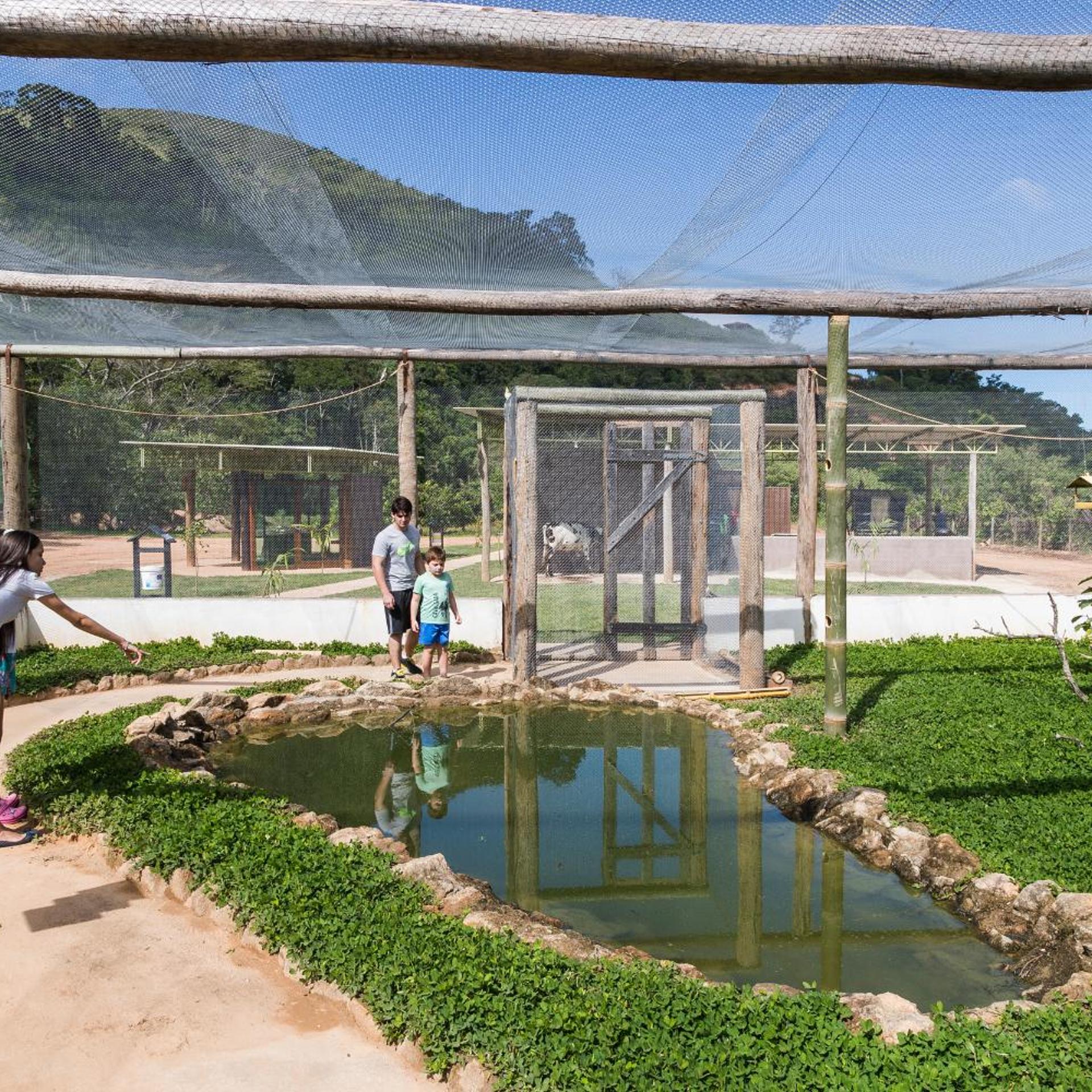 Hotel Fazenda Terra dos Sonhos 40/50