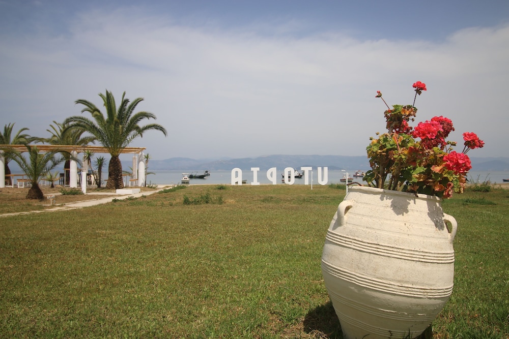 Utopia Kavos Hotel 3/49