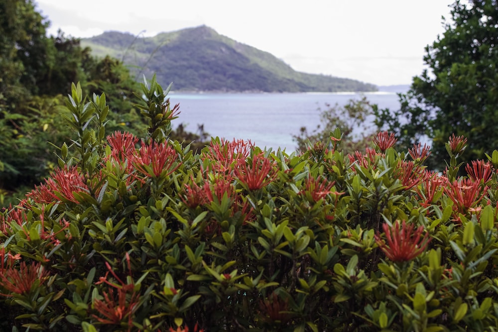COLIBRI GUEST HOUSE(M) 47/54