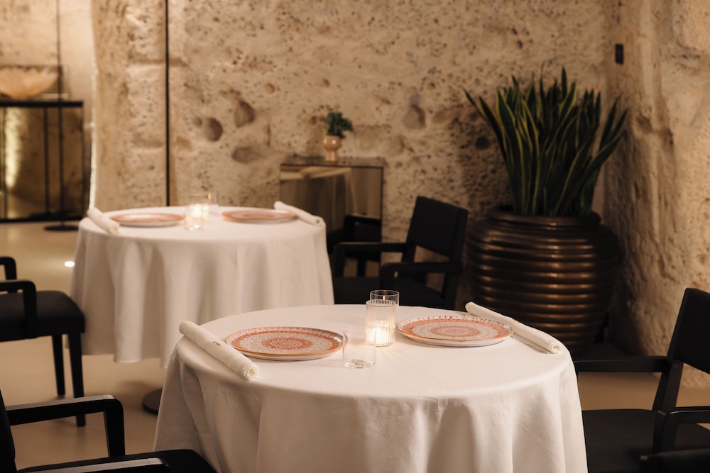 Vetera Matera 36/50