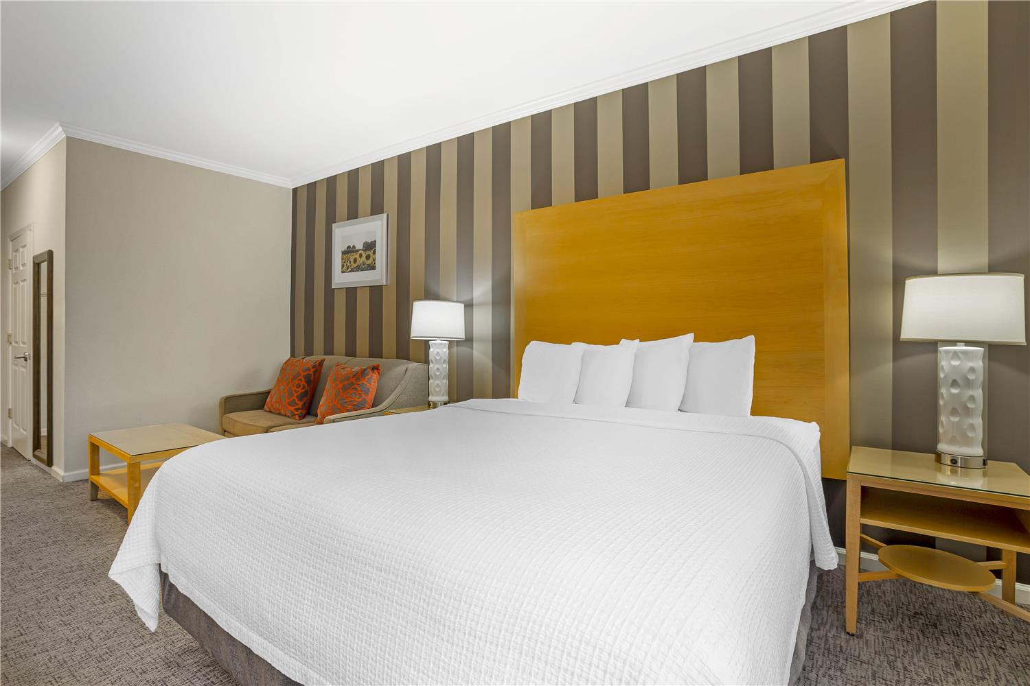 Room, King Bed