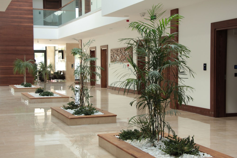 Carissa Hotel 9/35