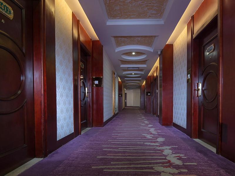 Vienna Hotel (Dongguan Songshan Lake) 42/43
