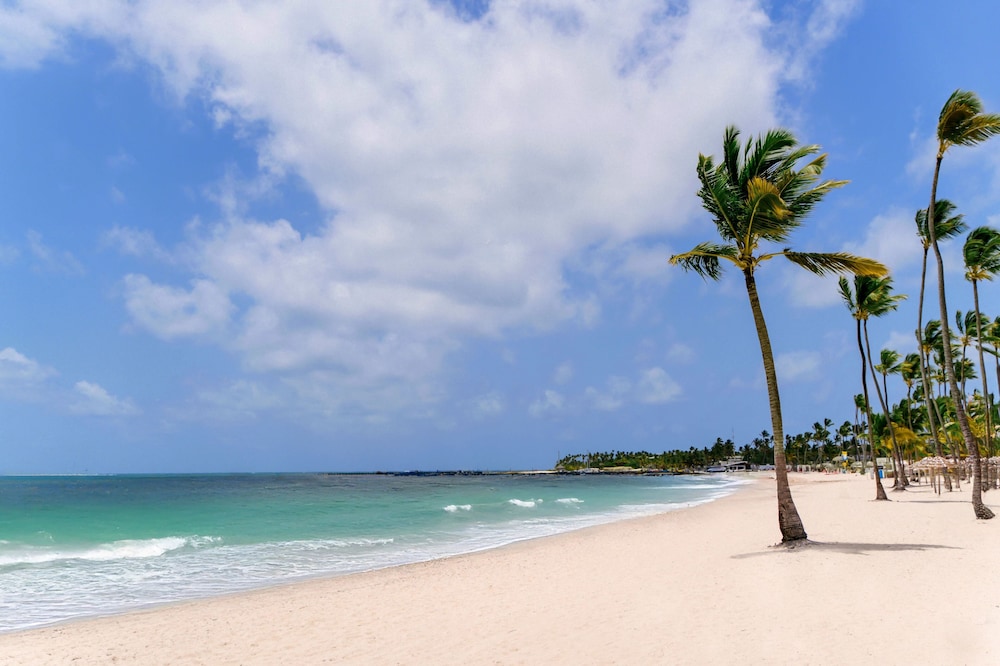 Jewel Palm Beach Resort Spa 41/48
