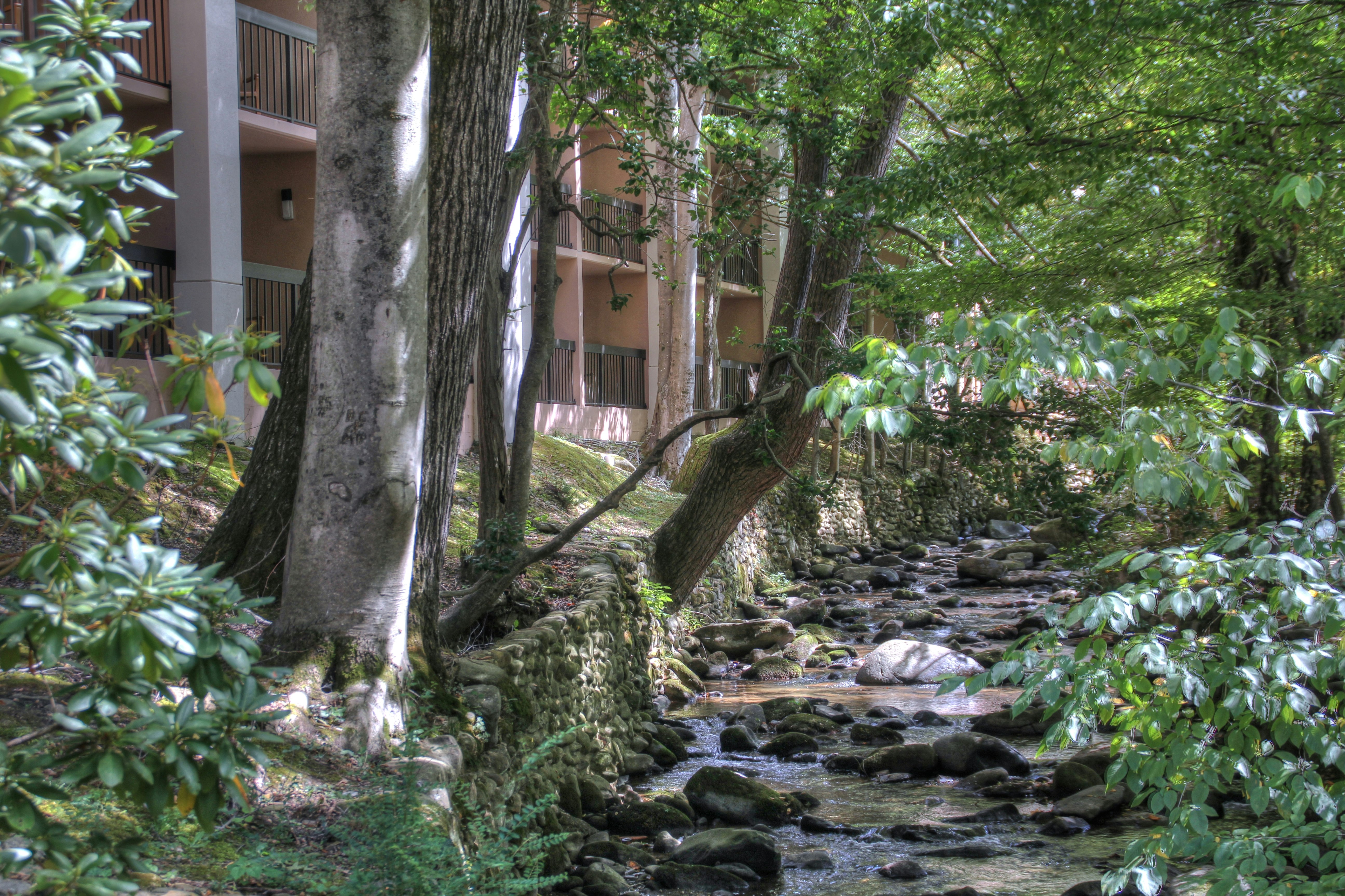 Hampton Inn Gatlinburg 64/68