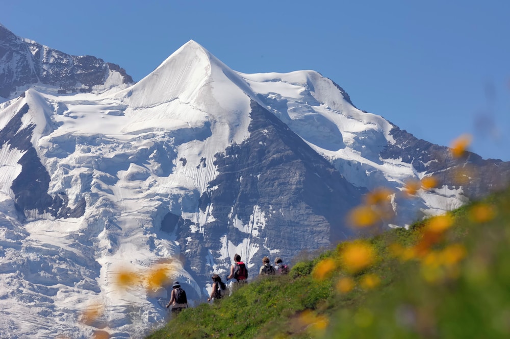 Hotel Victoria Lauberhorn, Wengen, a Faern Collection Hotel 78/83