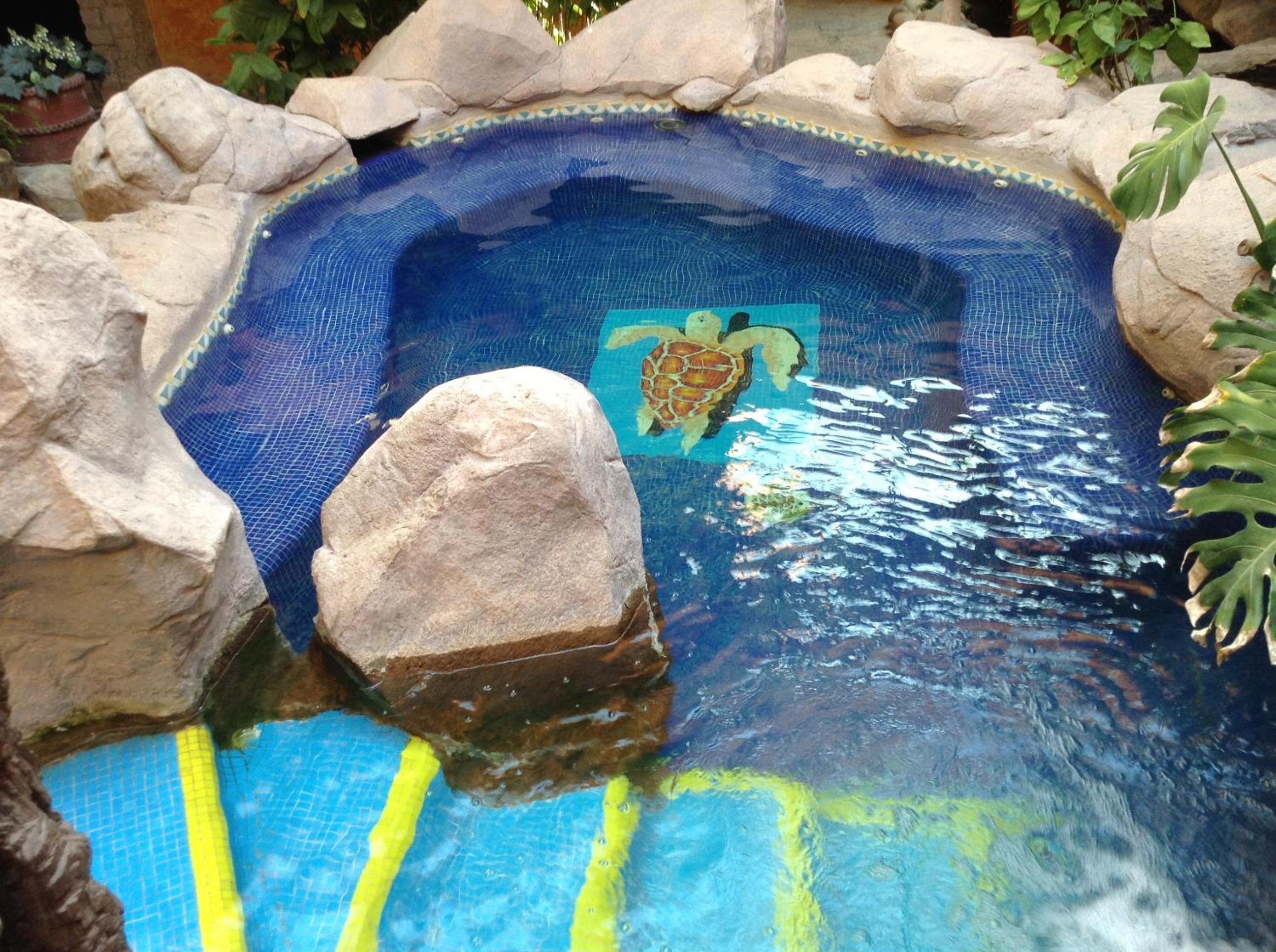 Hotel El Fuerte 24/55