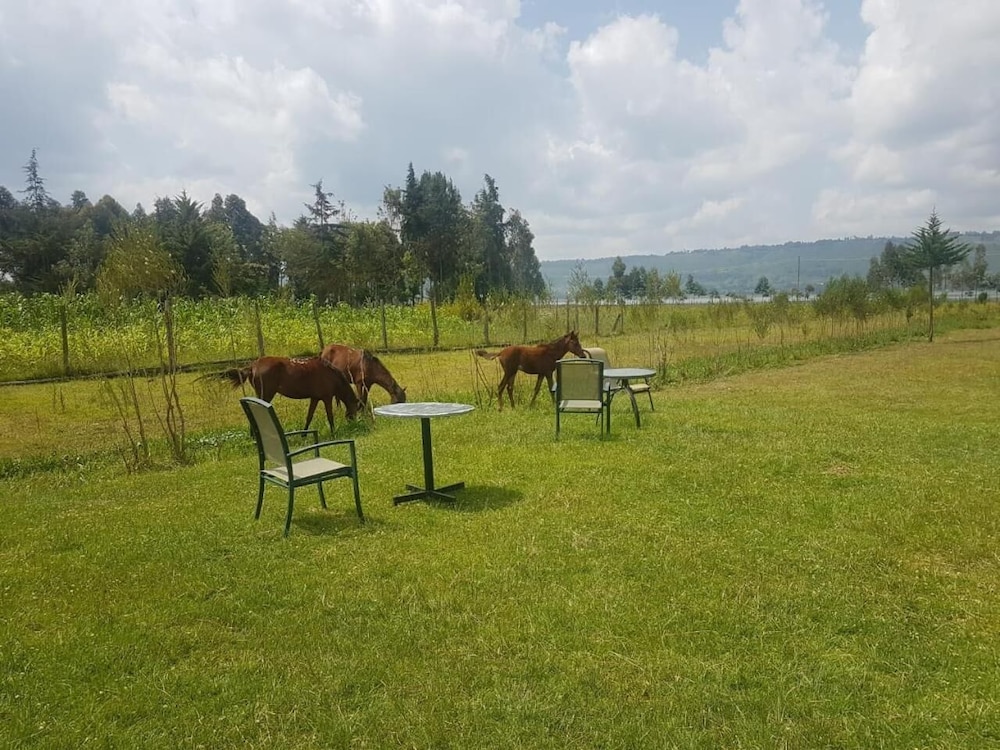 Samawati Conservancy Lake Ol Bolossat 13/42