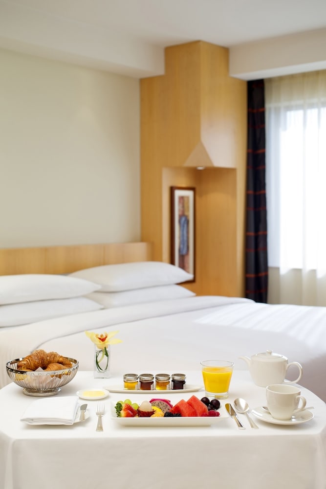 Hyatt Regency Hotel Dubai Deira 13/50