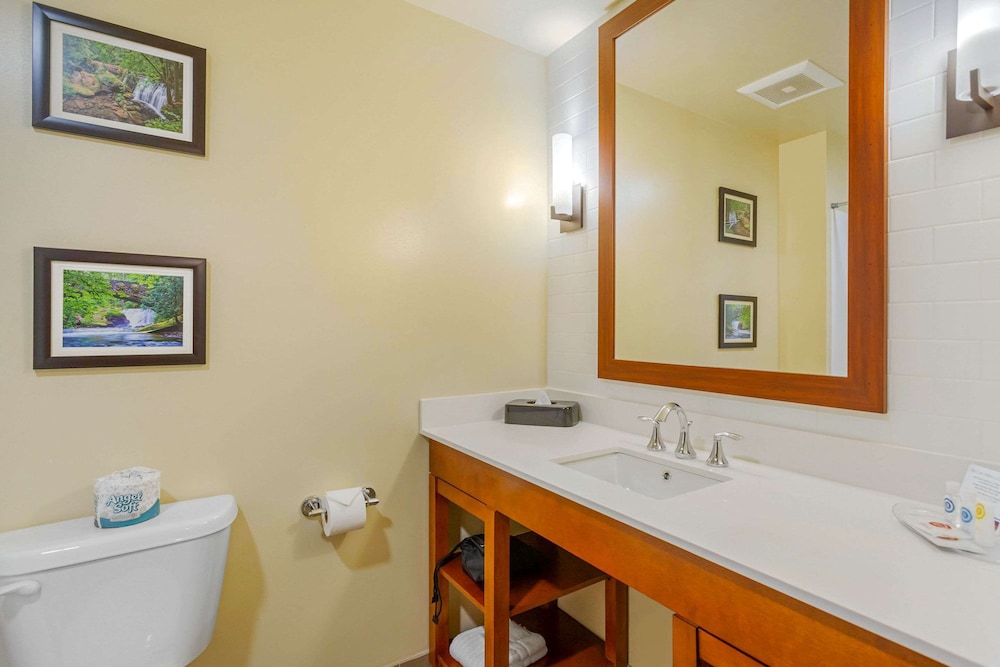 Comfort Suites Burlington Near I-5 12/37