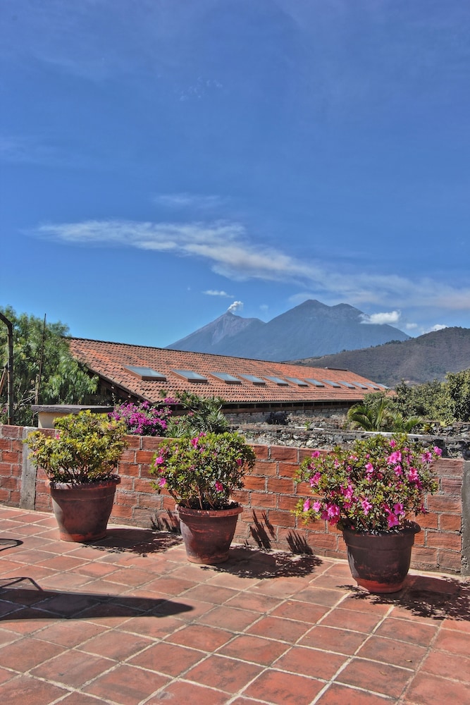 LAS CAMELIAS INN 22/50