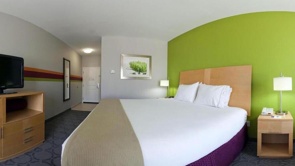 غرفة قياسية بسرير كينج لذوي الإعاقة، Holiday Inn Express Suites Clute Lake Jackson 2/3