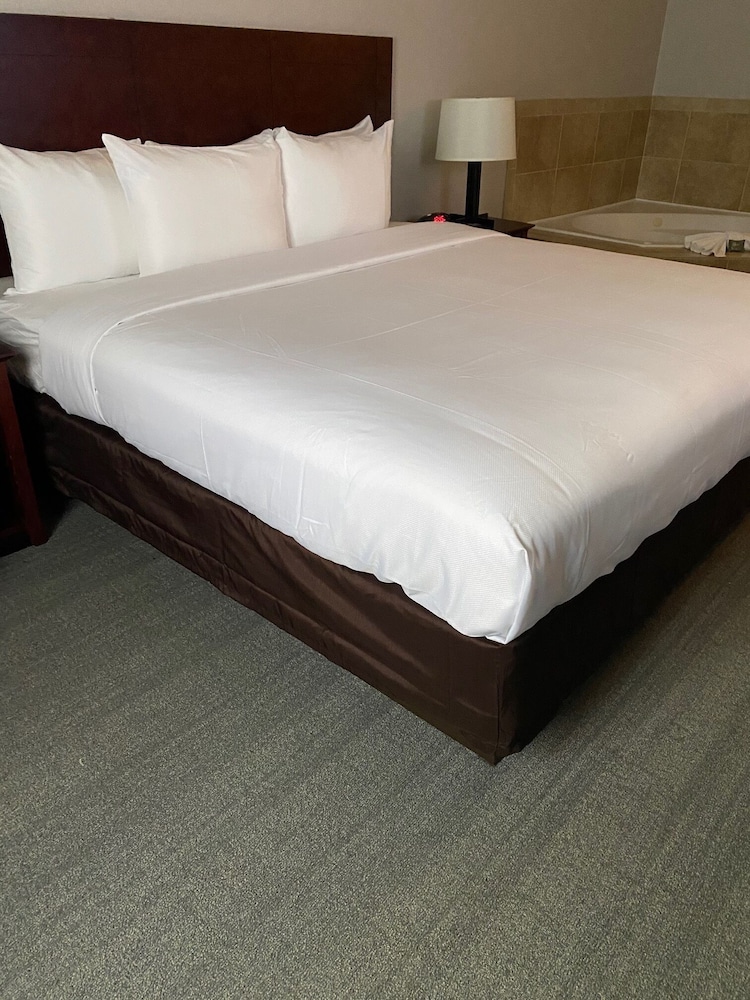 Comfort Inn & Suites Fairburn - Atlanta Southwest 25/45