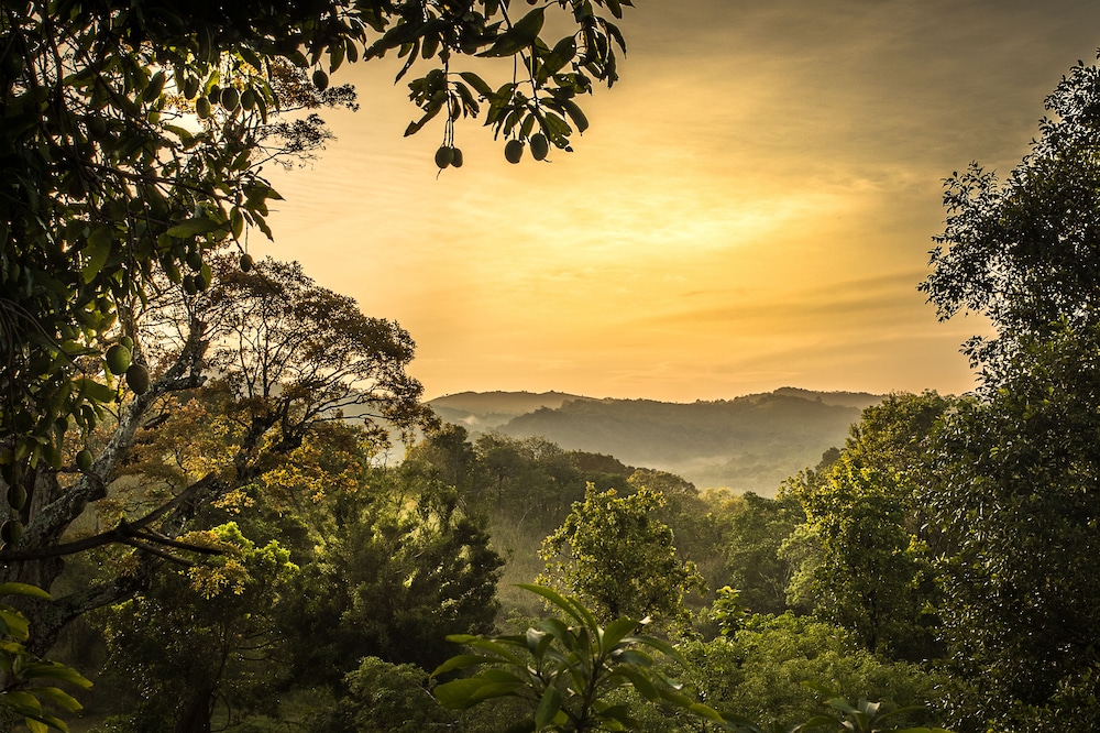 Ahaspokuna Bushwalks Camp 37/50