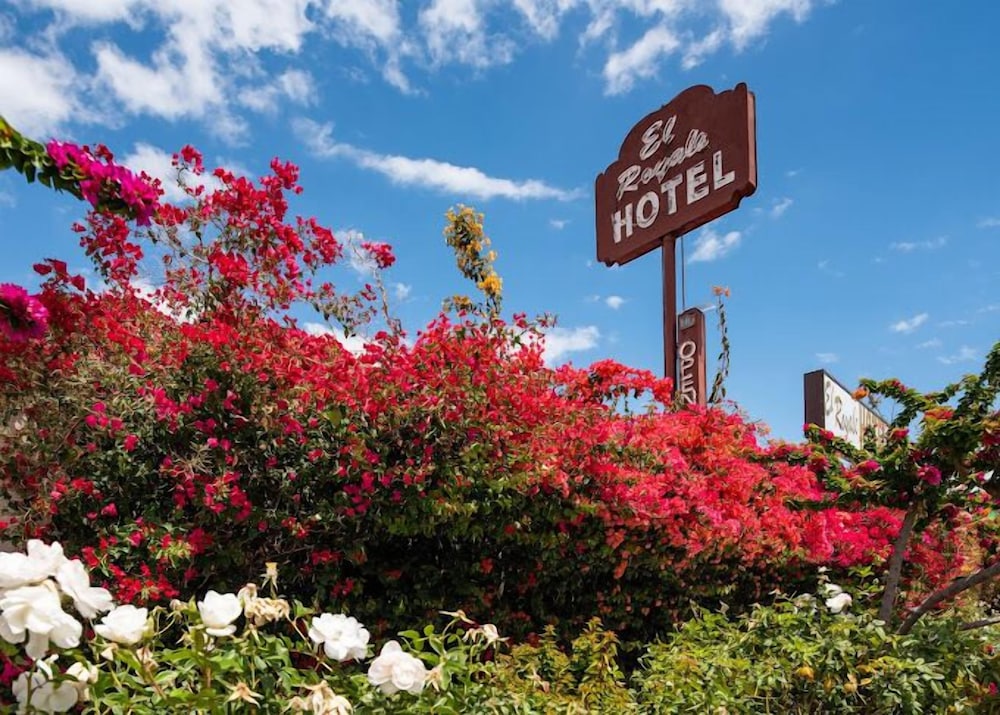 El Royale Hotel - Near Universal Studios Hollywood Los Angeles 42/50