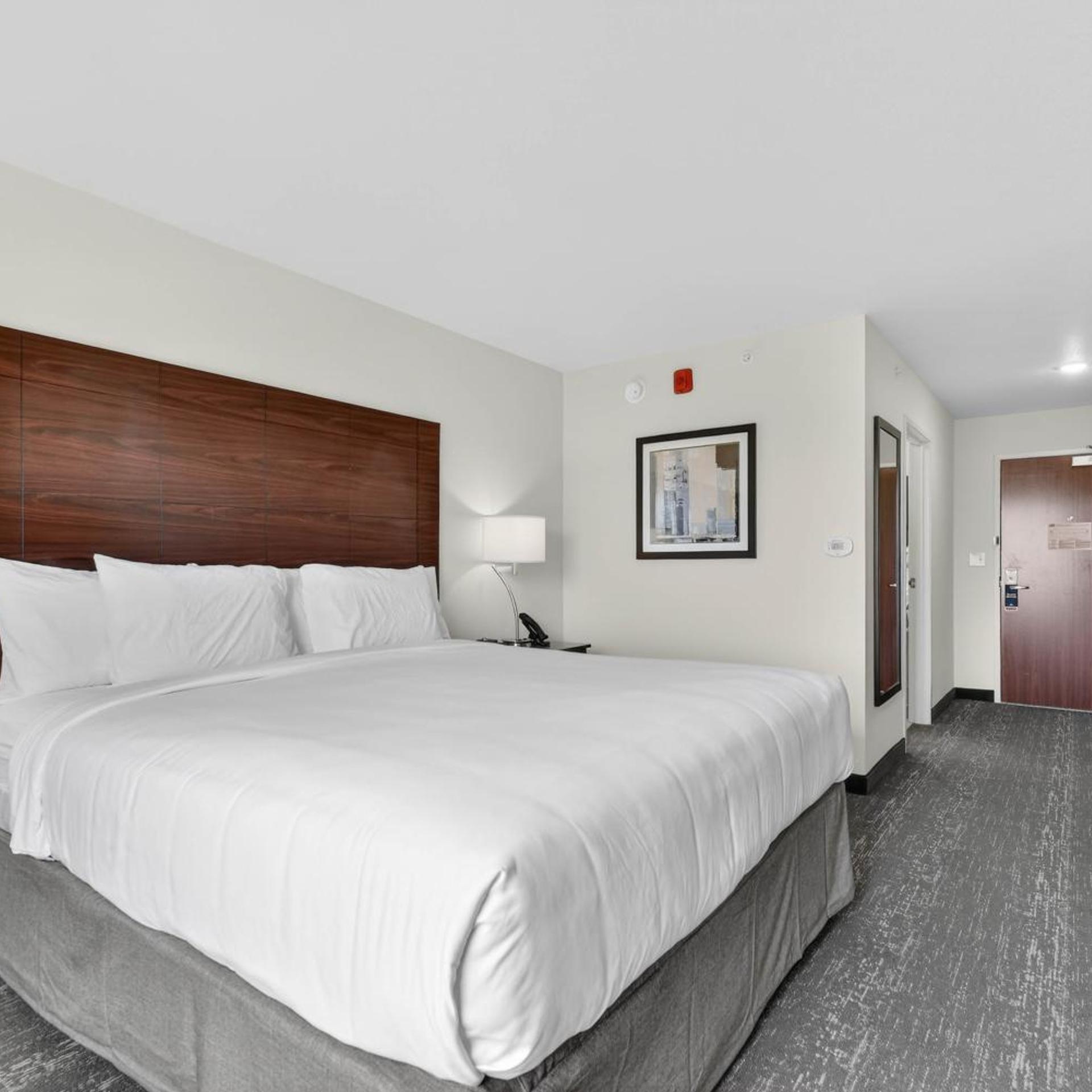Room, King Bed, Accessible