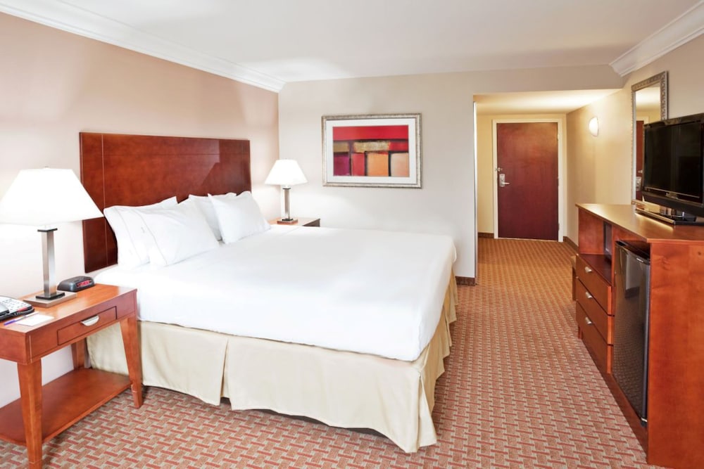 Holiday Inn Express Hotel Suites Niagara Falls 17/75