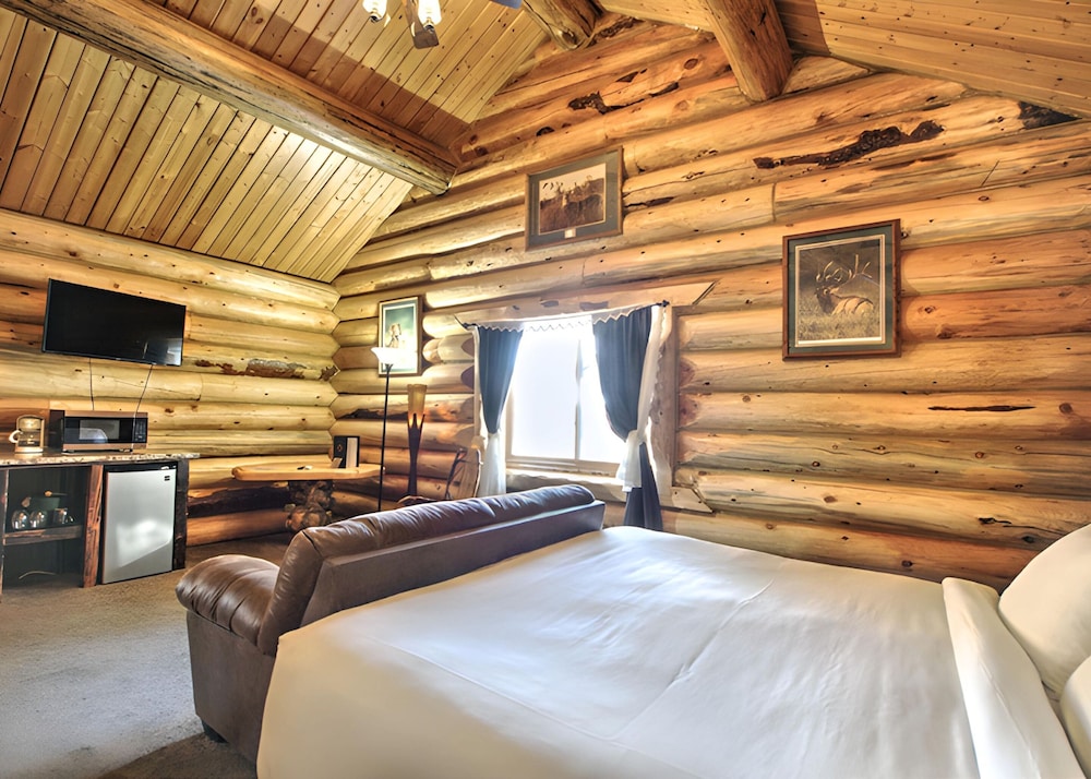 The Hibernation Station 24/65