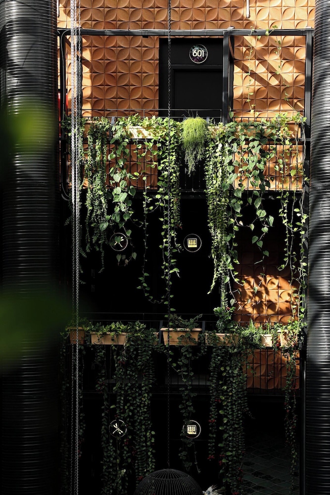 Manon Les Suites Guldsmeden 写真5