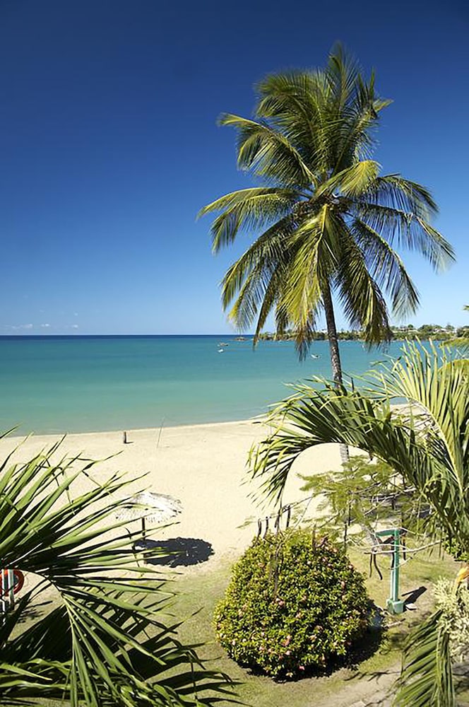 Starfish Tobago Resort 38/50