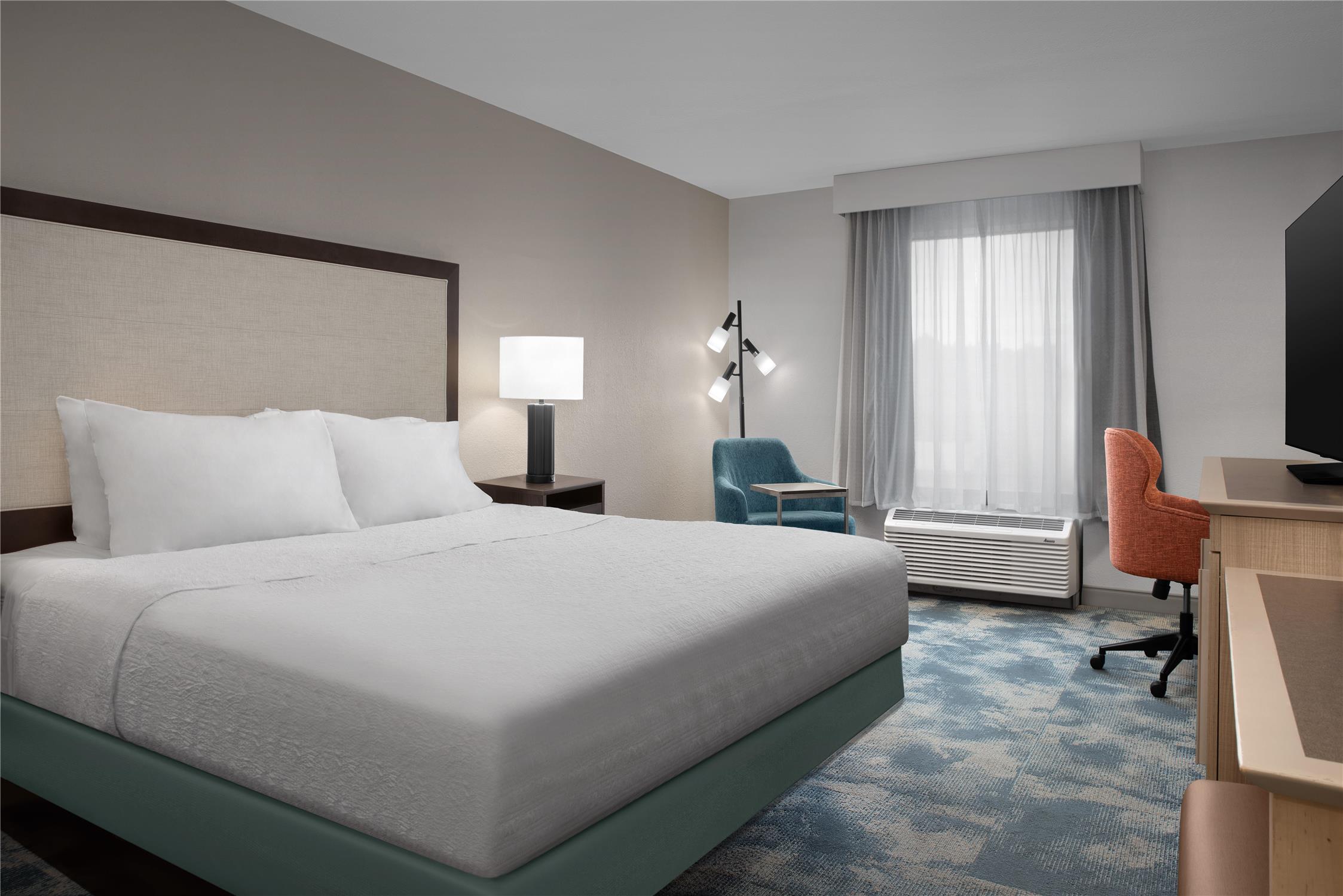Room, King Bed