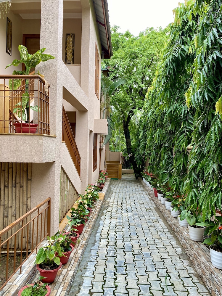 GREEN WOOD RESORT 41/50