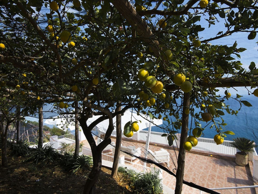 Villa Orleans 23/38