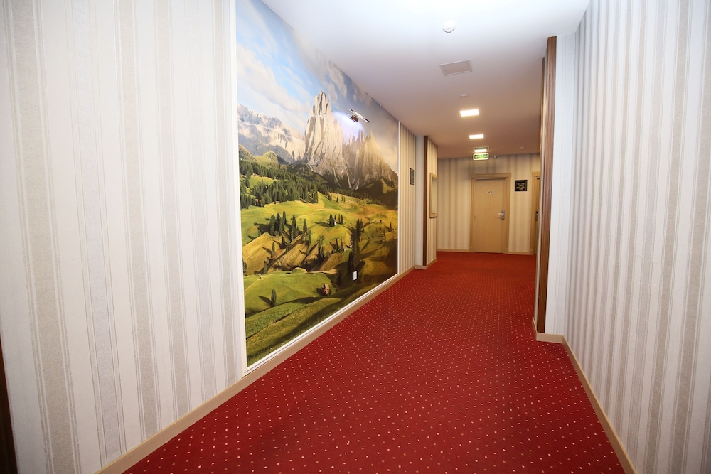Alis Hotel Baku 19/37