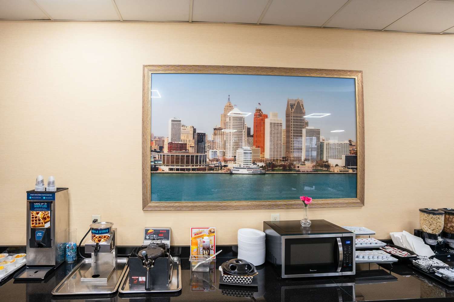 Clarion Hotel Detroit Metro Airport 32/49