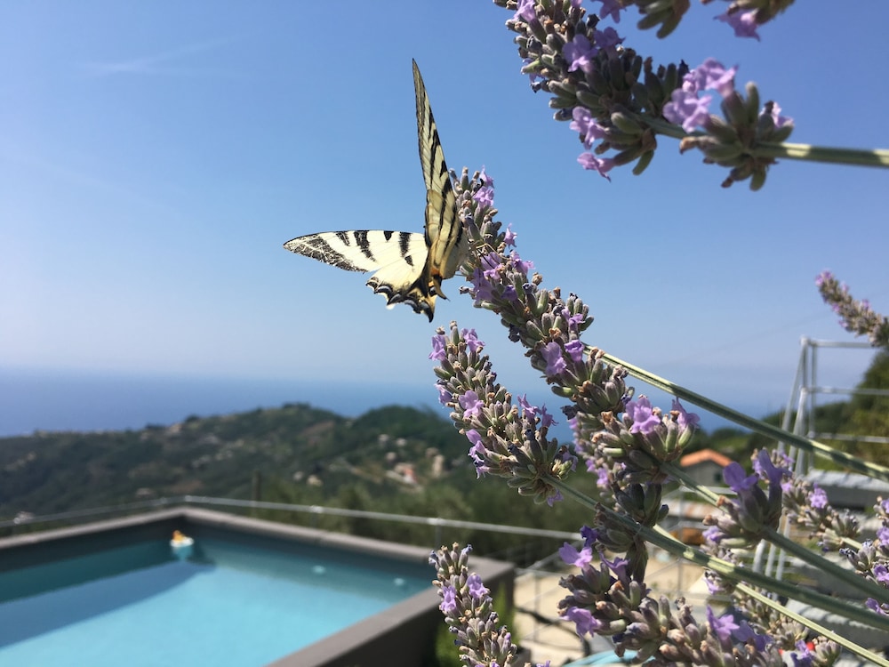 Oltremare Guest House 42/50
