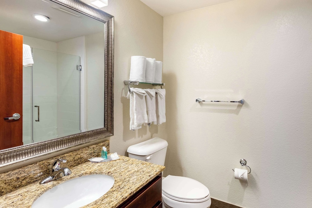 Efficiency, Suite, Queen Bed, Sofa، MainStay Suites Near Denver Downtown 9/10