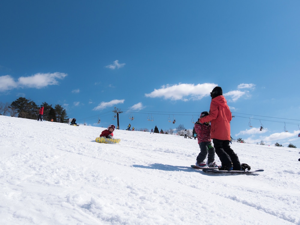 HOTEL HARVEST SKI JAM KATSUYAMA 67/72