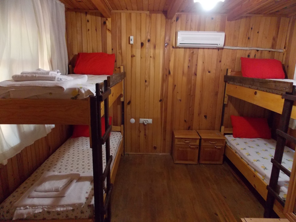 Olympos Orange 21/50