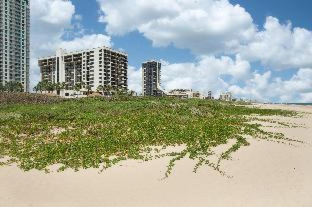 Sand, Premium, 2 Queen Beds, Ocean View
