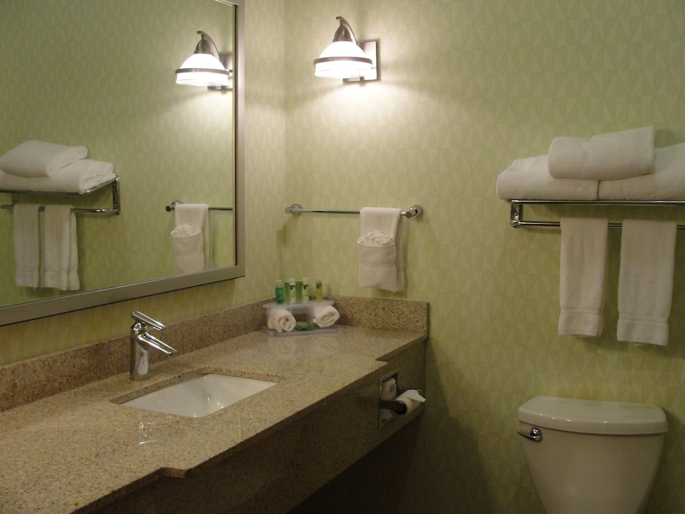 Holiday Inn Express Hotel Suites Atlanta East Lithonia 31/66