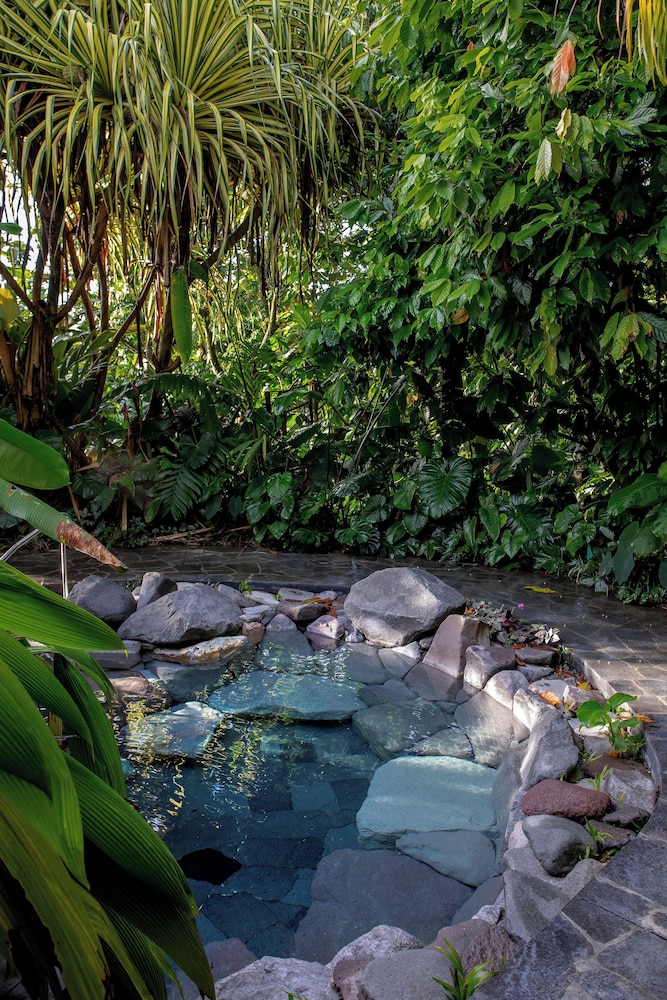Arenal Manoa And Hot Springs 22/50