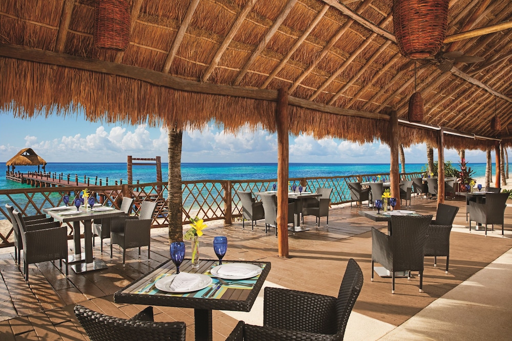 Secrets Aura Cozumel - Adults Only 51/67