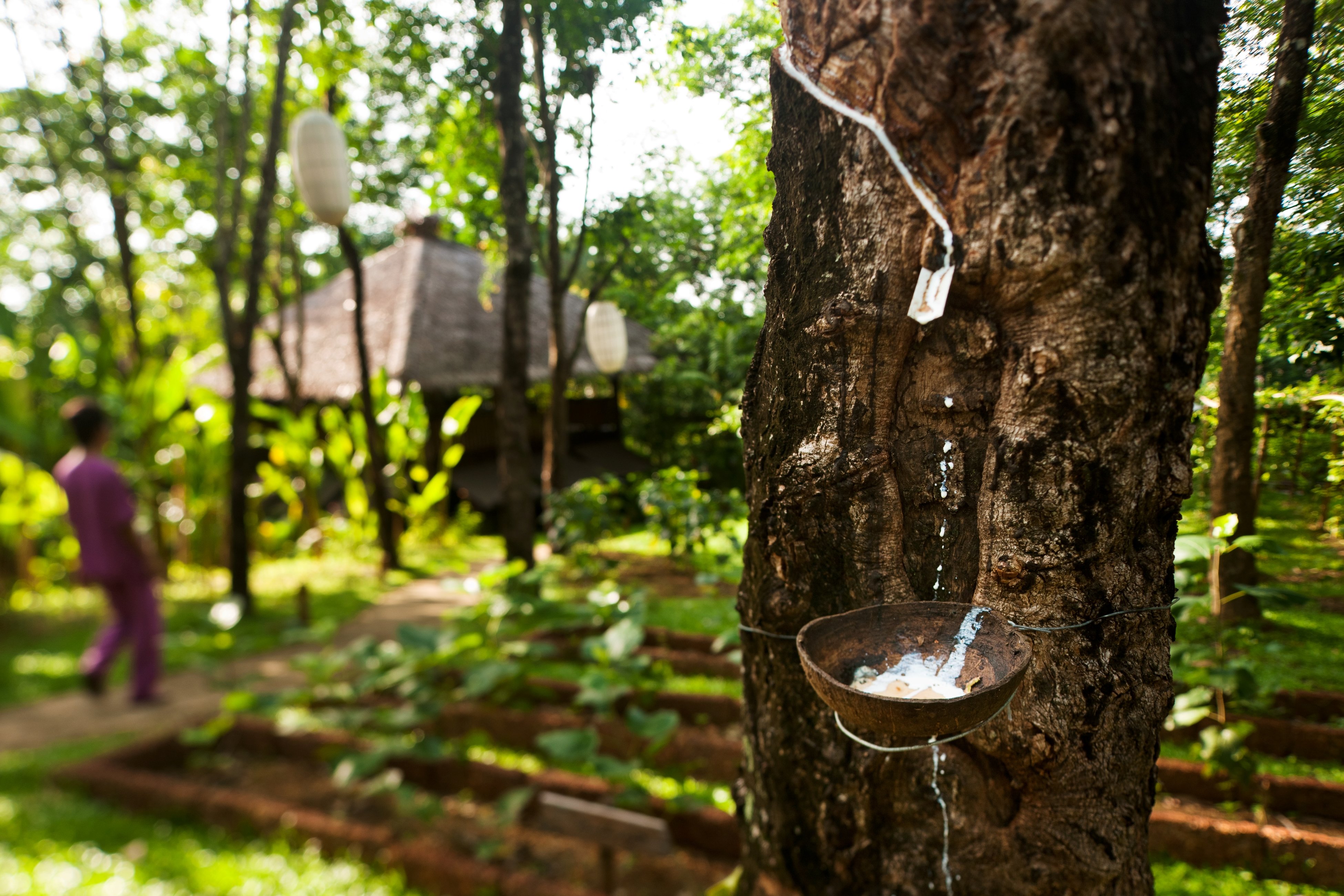 Six Senses Yao Noi 35/84