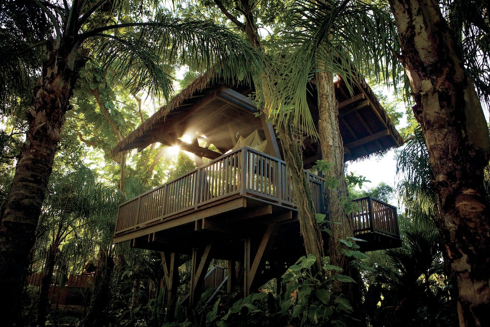 Residences At Dorado Beach, A Ritz-carlton Reserve 1/50