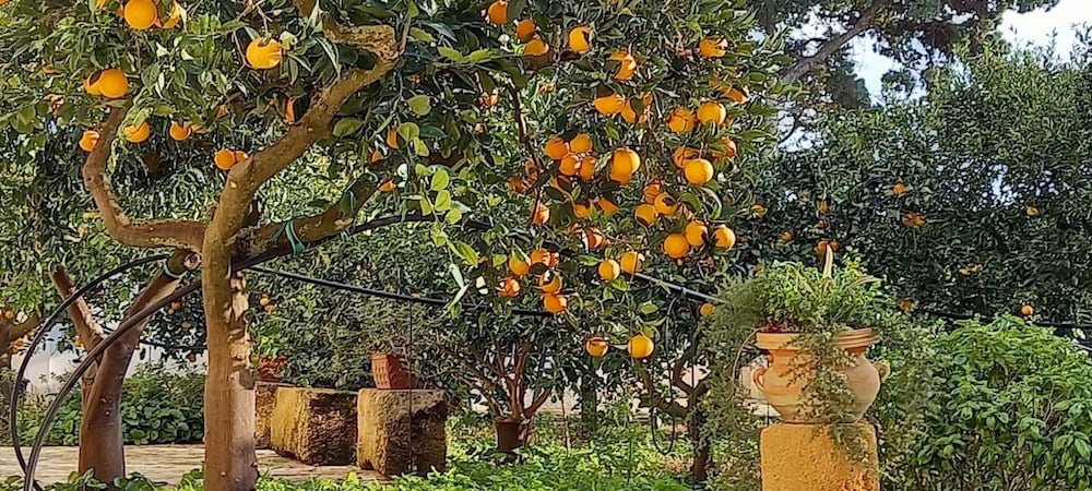 Baglio Spano 58/71
