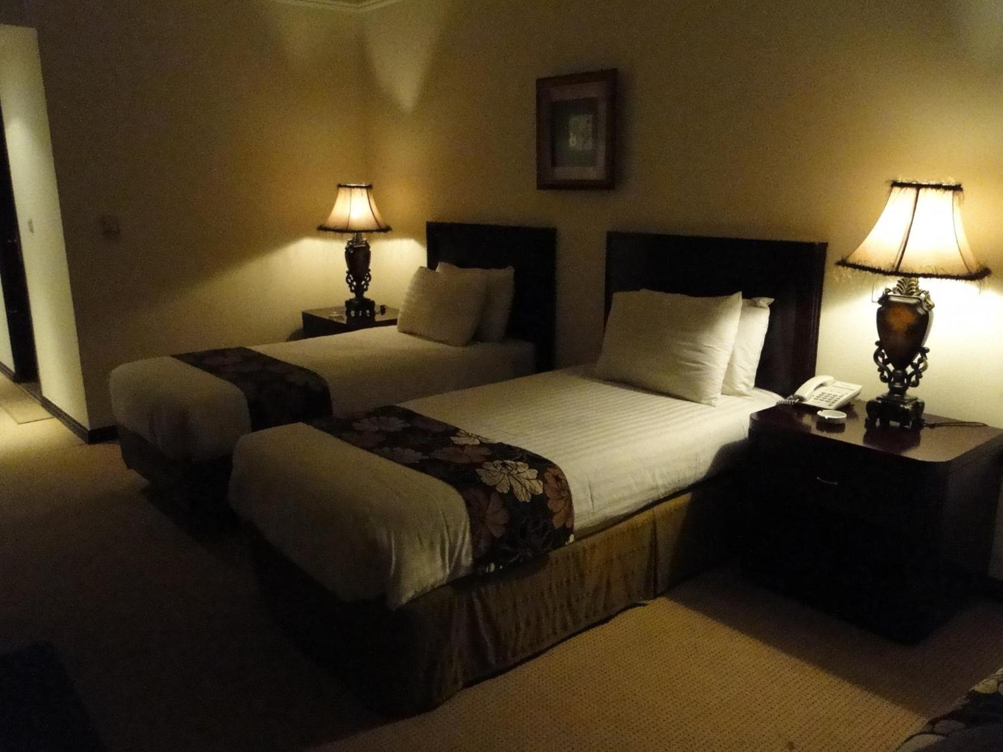 Shanasheel Palace Hotel 12/40
