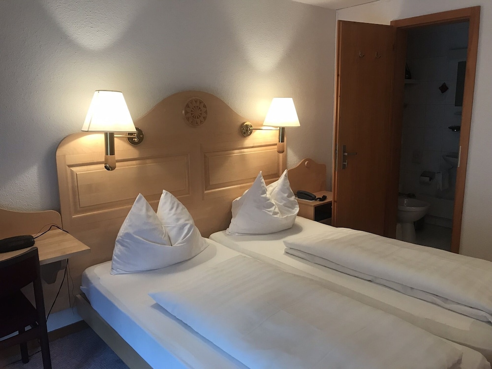 Hotel Bellevue Wengen 12/50