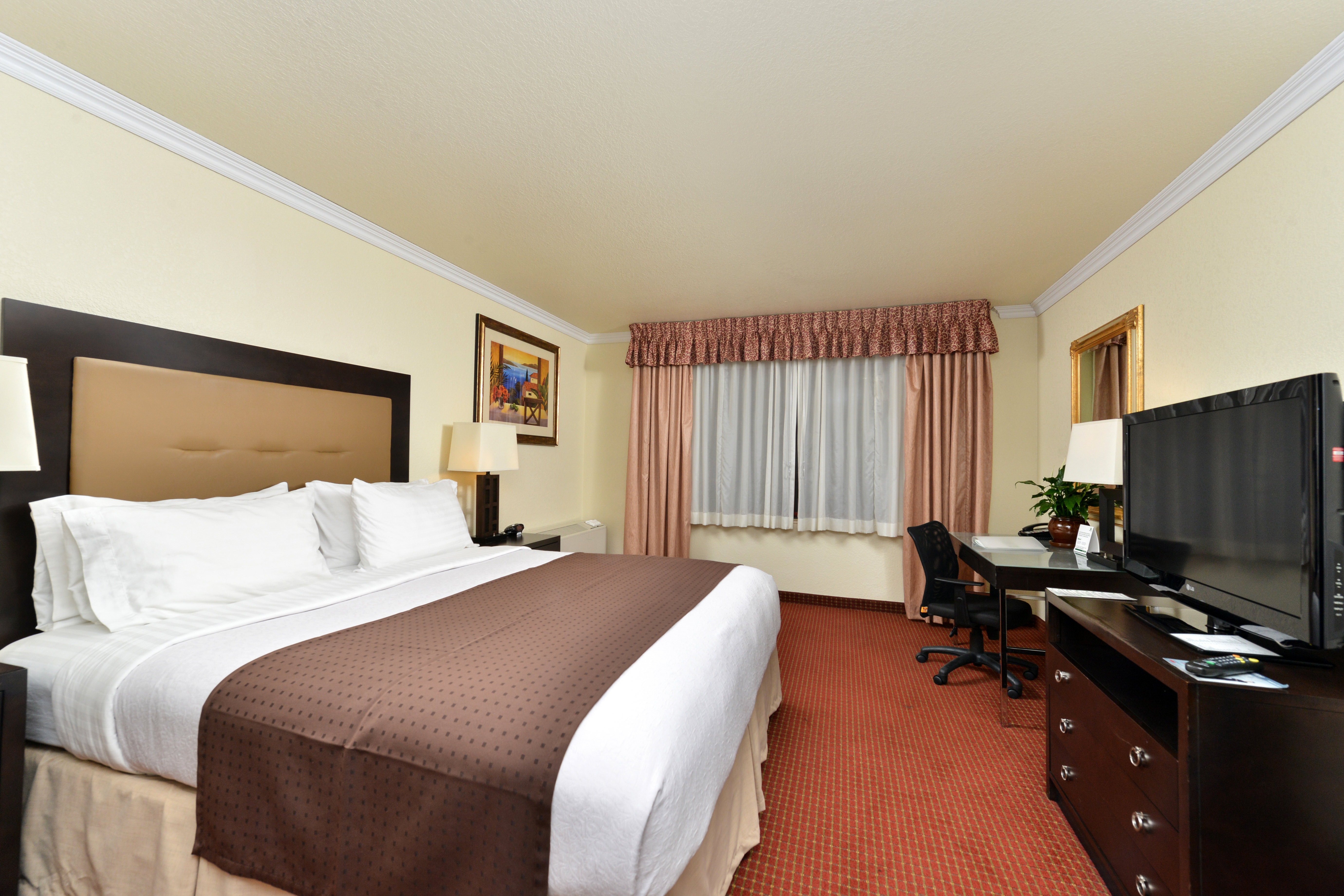 Holiday Inn Sacramento Rancho Cordova 20/77