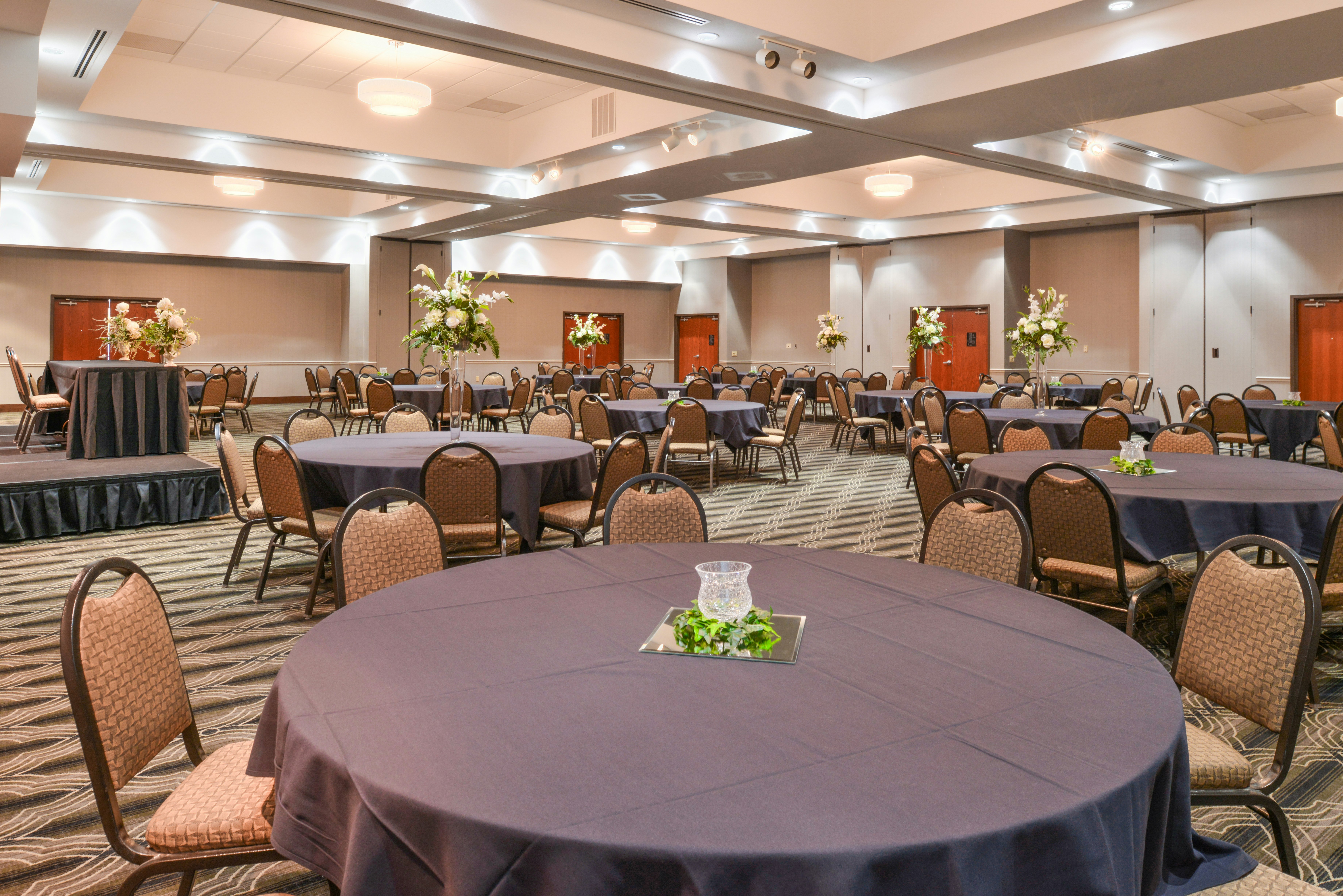 Holiday Inn Poplar Bluff an IHG Hotel 55/73
