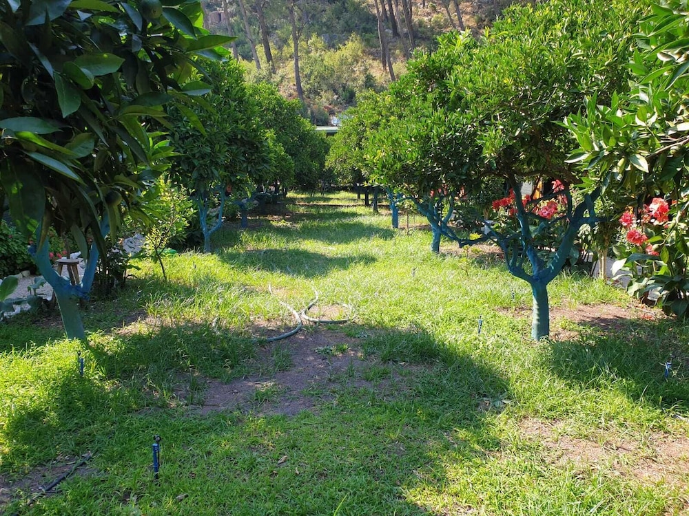 Olympos Tatilya Pansiyon 31/41
