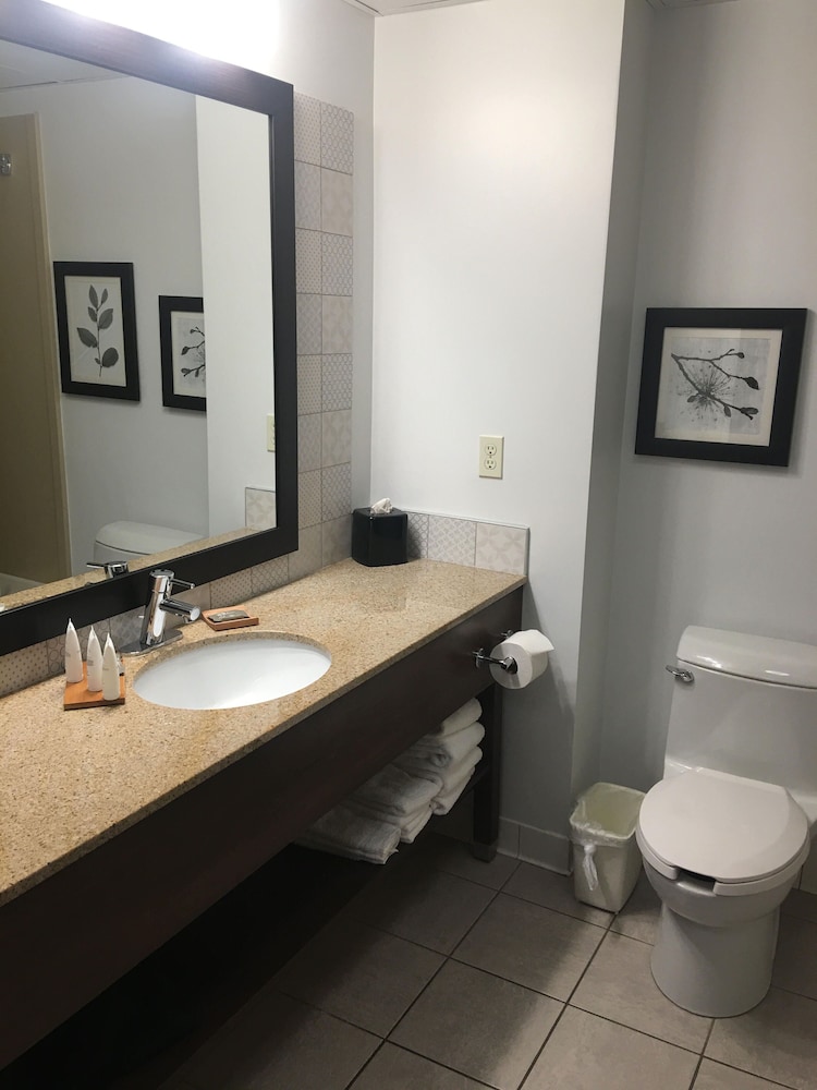 جناح بسرير كينج بغرفة نوم واحدة مع أريكة، Country Inn & Suites By Radisson Grand Rapids East Mi 4/4
