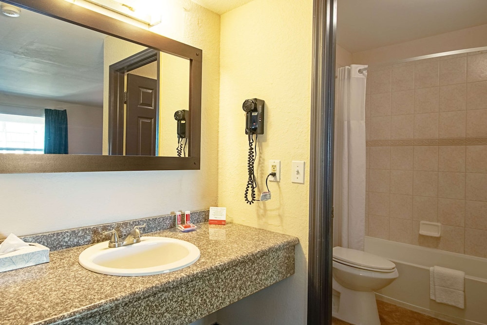 Econo Lodge Inn & Suites Clearwater Central 15/26
